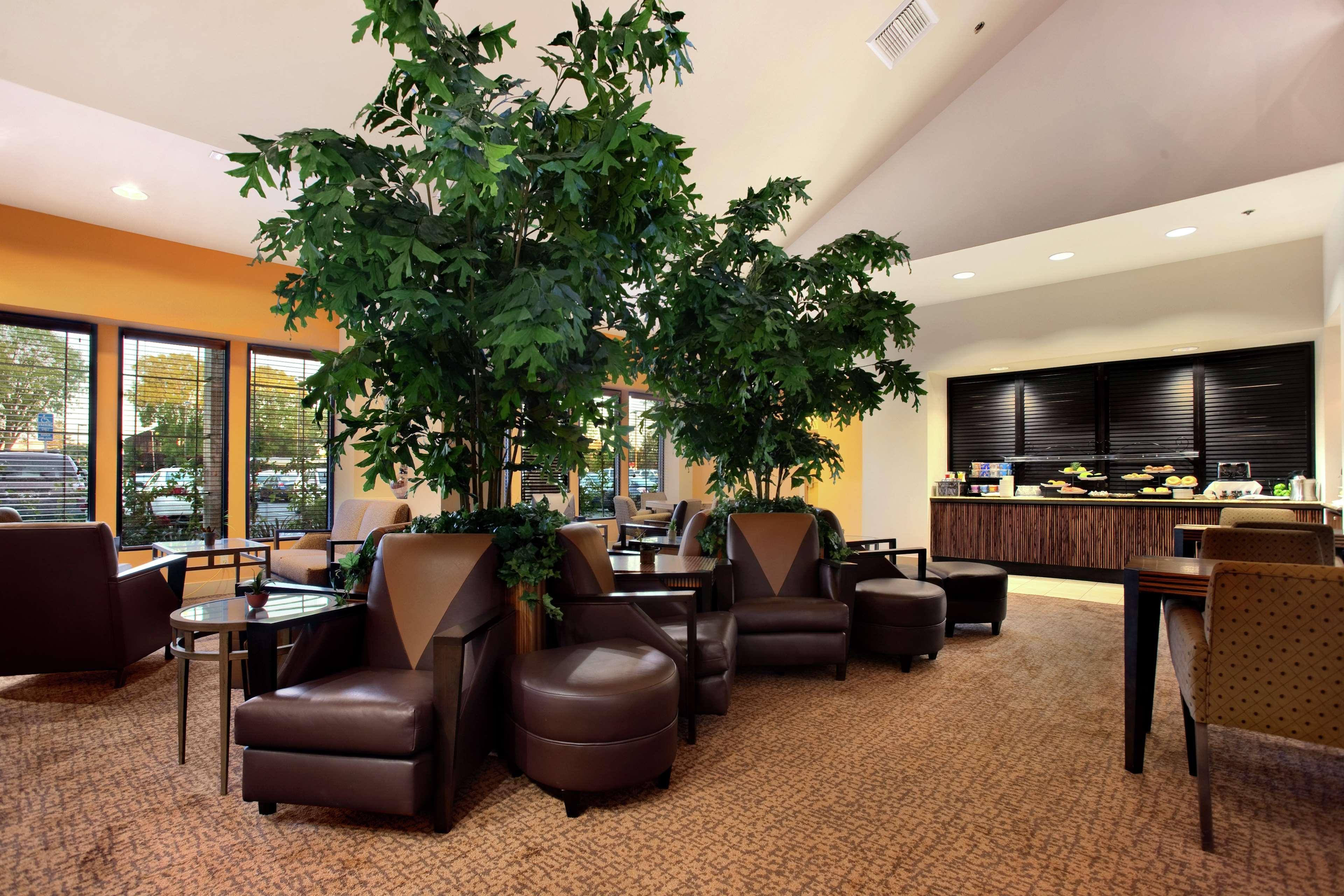 Hotel Hilton Stockton Wnętrze zdjęcie